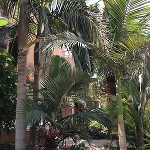  Appartement Constantaras